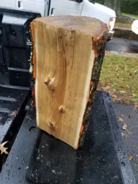 [Hearth.com] Help Identifying Yellowish Stringy Wood