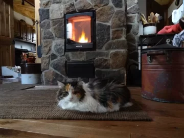 [Hearth.com] Stove Animals