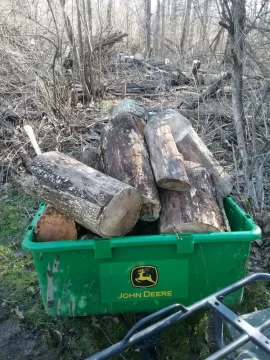 [Hearth.com] Little ash cutting yesterday.