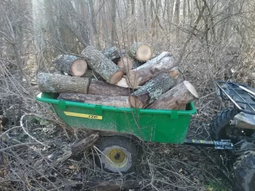 [Hearth.com] Little ash cutting yesterday.