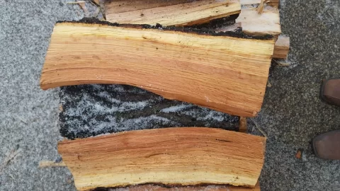 [Hearth.com] Wood ID Help