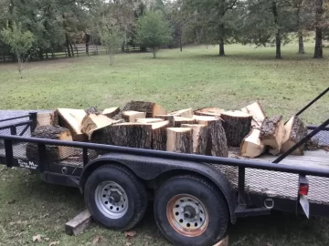 [Hearth.com] Today's Scrounge--post the free btu's