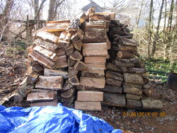 picture of my firewood i do not have a wood shed