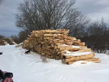 [Hearth.com] I found a source for cheap firewood