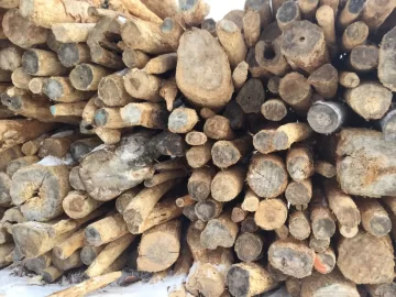 [Hearth.com] I found a source for cheap firewood