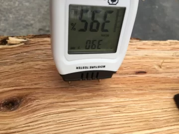 [Hearth.com] Moisture Content of two year downed tree and other BS