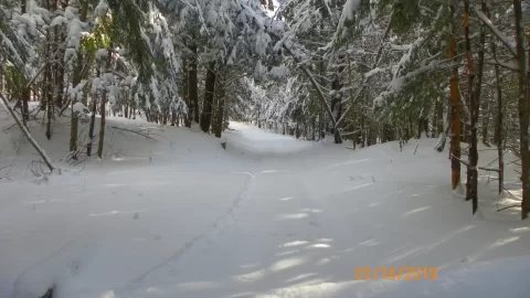 [Hearth.com] Sledding Pictures 2019