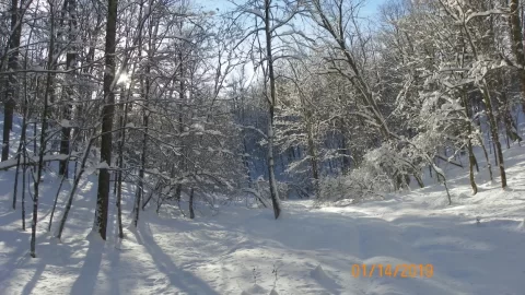 [Hearth.com] Sledding Pictures 2019