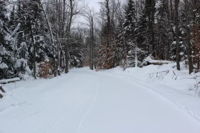 [Hearth.com] Sledding Pictures 2019