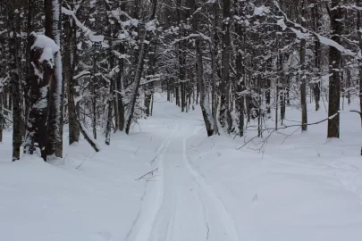 [Hearth.com] Sledding Pictures 2019