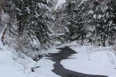 [Hearth.com] Sledding Pictures 2019