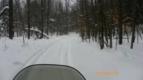 [Hearth.com] Sledding Pictures 2019