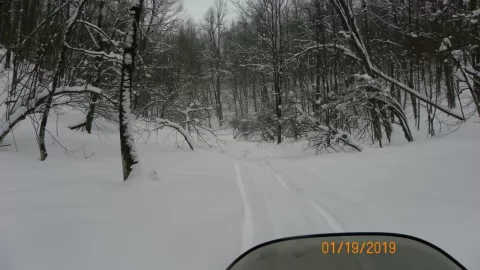 [Hearth.com] Sledding Pictures 2019