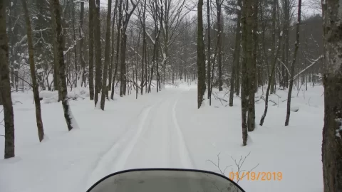 [Hearth.com] Sledding Pictures 2019