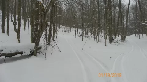 [Hearth.com] Sledding Pictures 2019