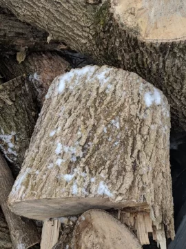 [Hearth.com] Quick easy question for you well "seasoned" fire wood guys.