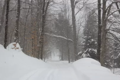 [Hearth.com] Sledding Pictures 2019