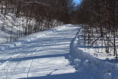 [Hearth.com] Sledding Pictures 2019