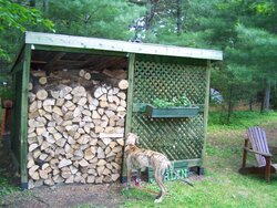 My wood shed
