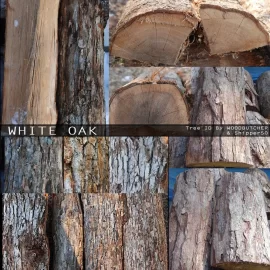 [Hearth.com] Not all Oak is as hard as Oak?