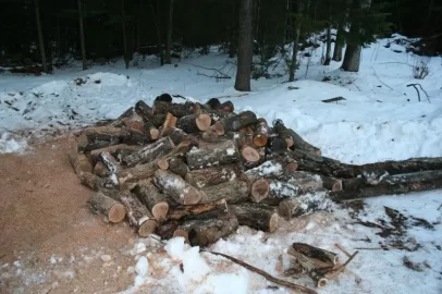 [Hearth.com] Bucked up a little oak