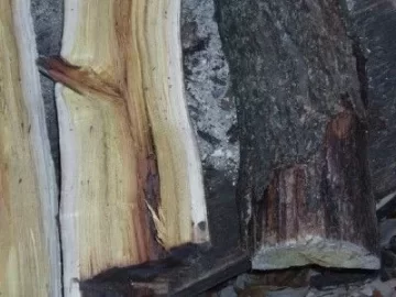 [Hearth.com] Help!  Please help me identify this wood.