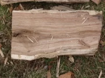 [Hearth.com] Help!  Please help me identify this wood.