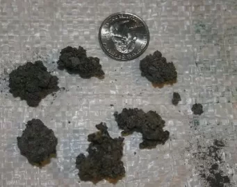 [Hearth.com] Grass Pellets on CL.  Gasification video too.