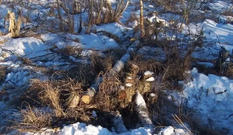 [Hearth.com] Frozen swamp logging, pics