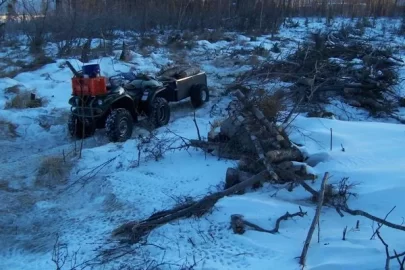 [Hearth.com] Frozen swamp logging, pics