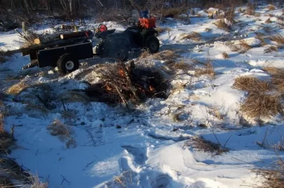 [Hearth.com] Frozen swamp logging, pics