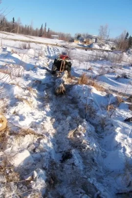 [Hearth.com] Frozen swamp logging, pics