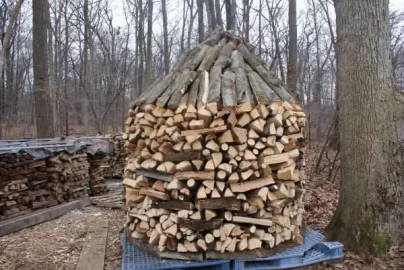 [Hearth.com] My first Holz Hausen w/pics