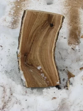 [Hearth.com] Verification of wood identification