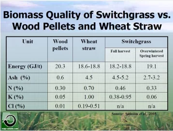 [Hearth.com] Grass Pellets on CL.  Gasification video too.