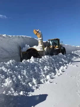 [Hearth.com] Winds In Buffalo NY