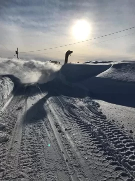 [Hearth.com] Winds In Buffalo NY