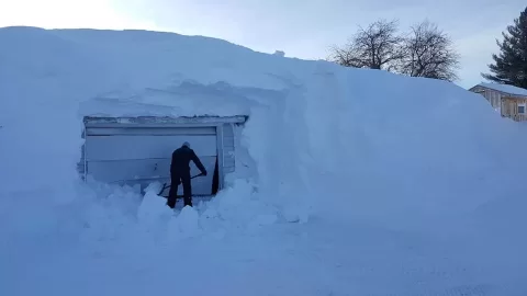 [Hearth.com] Winds In Buffalo NY