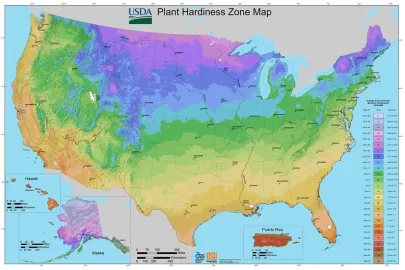 [Hearth.com] Regional Variations in Drying Wood