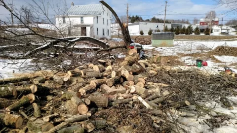 [Hearth.com] A Great Day to Cut Firewood