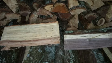 [Hearth.com] what kind of wood is this ?