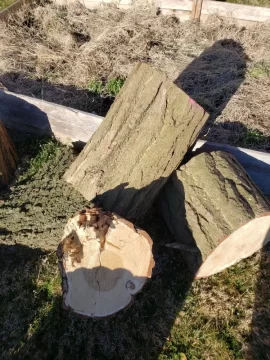 [Hearth.com] Help Identifying logs