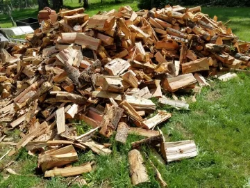 [Hearth.com] How Much Wood Did U All Burn This Season?