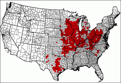 [Hearth.com] Firewood quarantined