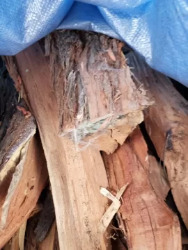 [Hearth.com] What to do with Black Mold firewood.