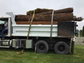 [Hearth.com] Stove chow! Latest method of log load delivery.