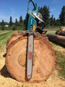 [Hearth.com] Stove chow! Latest method of log load delivery.