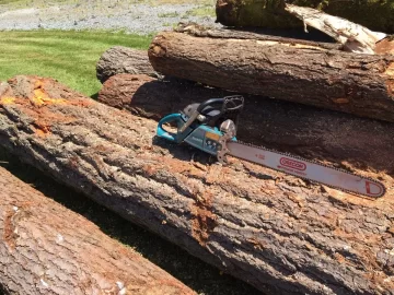 [Hearth.com] Stove chow! Latest method of log load delivery.