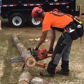 [Hearth.com] Help me decide on some equipment.  Chainsaws, pickaroons, timberjacks and mauls.