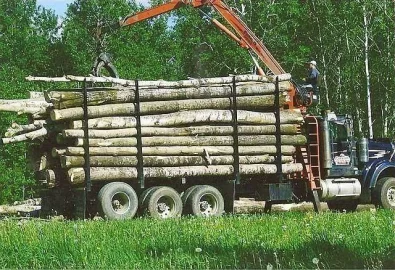 [Hearth.com] Stove chow! Latest method of log load delivery.